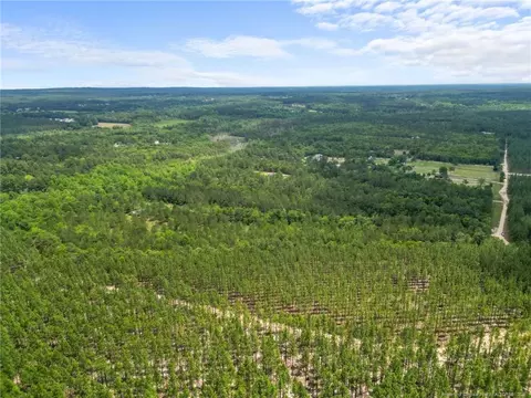 Nighthawk Loop, Aberdeen, NC 28315 photo 10