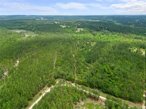 Nighthawk Loop, Aberdeen, NC 28315 photo 5