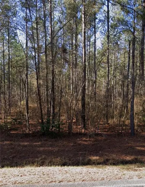 Mcbryde Street, Linden, NC 28356