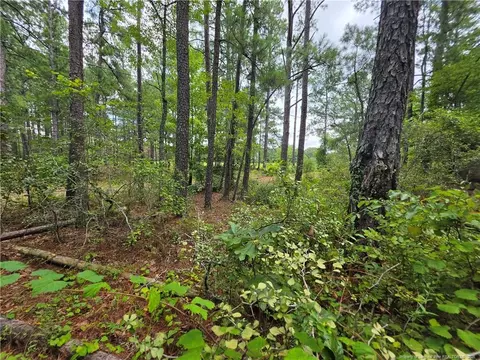 West Road, Cameron, NC 28326 photo 8