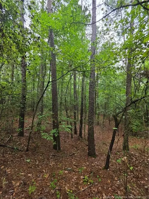 West Road, Cameron, NC 28326 photo 10