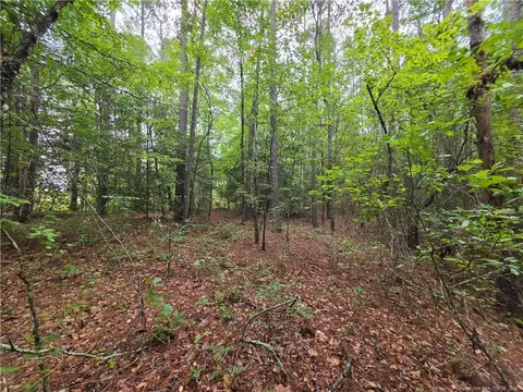 West Road, Cameron, NC 28326 photo 4