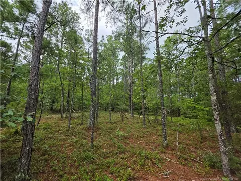 West Road, Cameron, NC 28326 photo 6