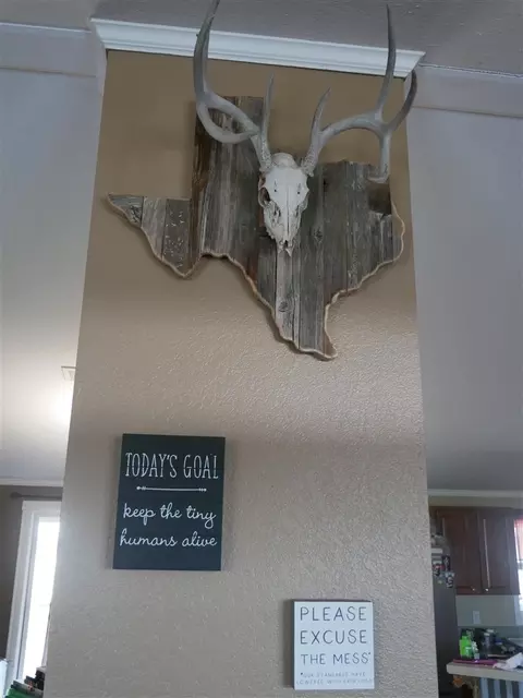 2004 Moore St, Llano, TX 78643 photo 8