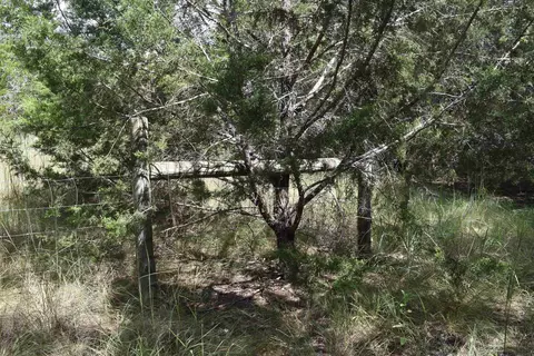 420 Broken Bow, Bertram, TX 78605 photo 28