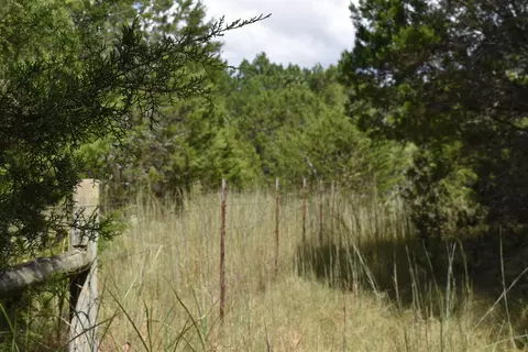 420 Broken Bow, Bertram, TX 78605 photo 26