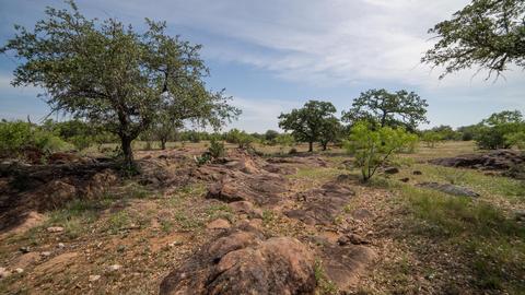704 Otto Loop, Llano, TX 78643 photo 14