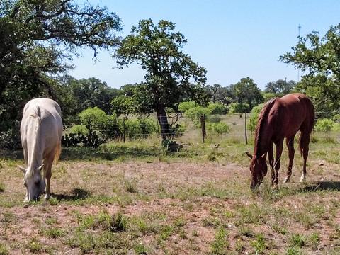 704 Otto Loop, Llano, TX 78643 photo 8