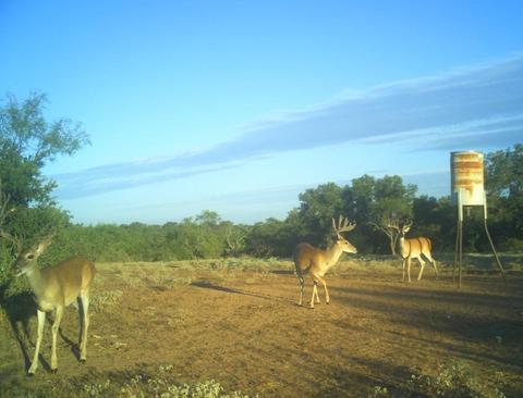 704 Otto Loop, Llano, TX 78643 photo 2