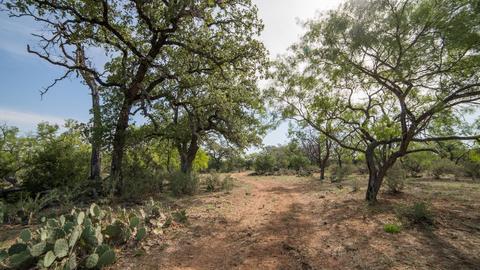 704 Otto Loop, Llano, TX 78643 photo 20