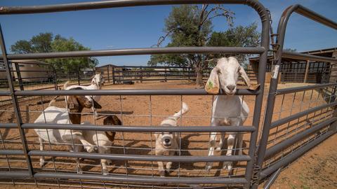 704 Otto Loop, Llano, TX 78643 photo 13