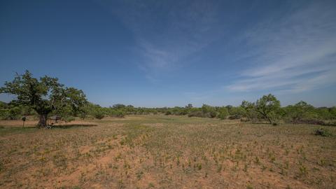 704 Otto Loop, Llano, TX 78643 photo 16