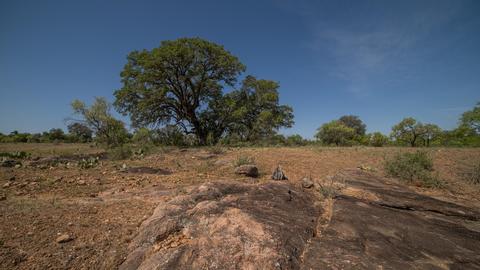 704 Otto Loop, Llano, TX 78643 photo 24