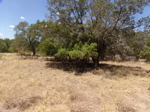 lot142 Pine, Cottonwood Shores, TX 78657