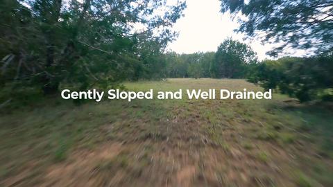 View/Area - County Road 322, Bertram, TX 78605 photo 6 of 8