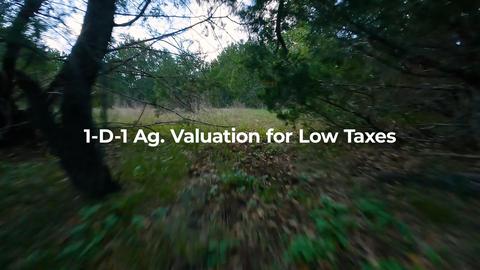 View/Area - County Road 322, Bertram, TX 78605 photo 5 of 8
