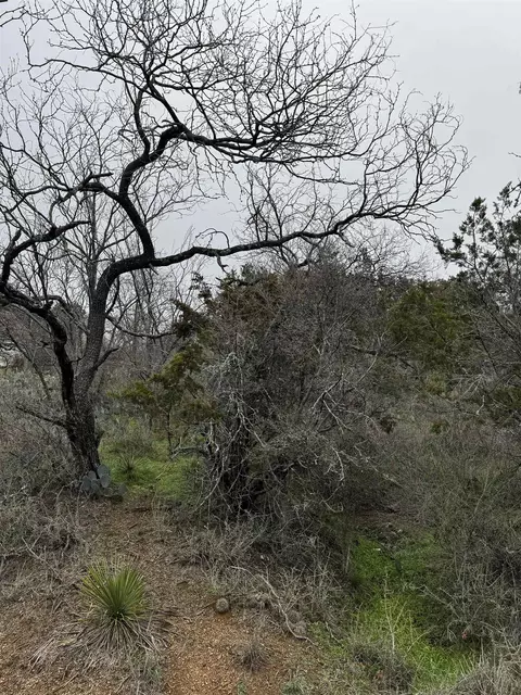lot424 Castlewood Dr, Granite Shoals, TX 78654