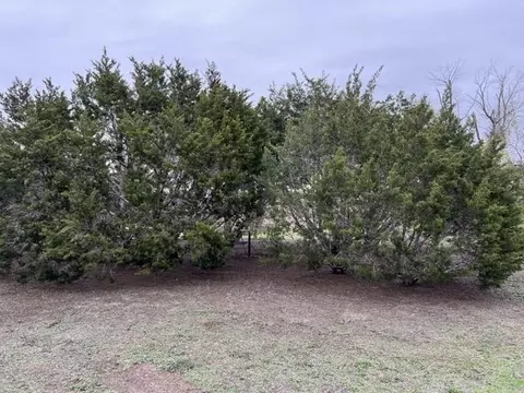 751 Cty Rd 217 751 Cty Rd 217, Florence, TX 76527 photo 7