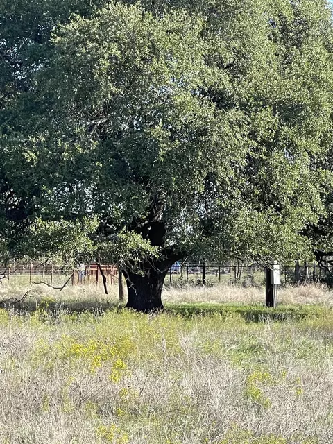 10700 Cr 272 Rd, Bertram, TX 78605 photo 5
