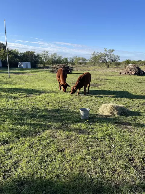 10700 Cr 272 Rd, Bertram, TX 78605 photo 4