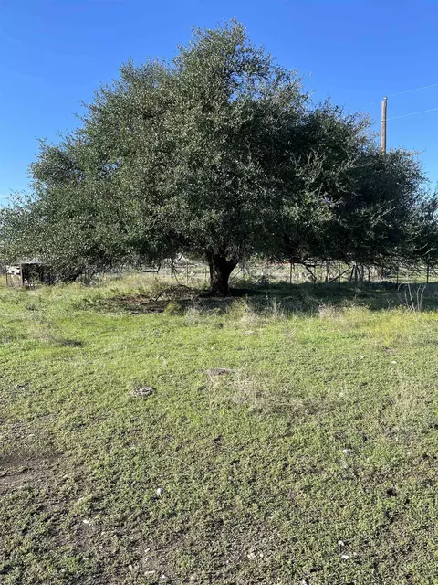 10700 Cr 272 Rd, Bertram, TX 78605 photo 2
