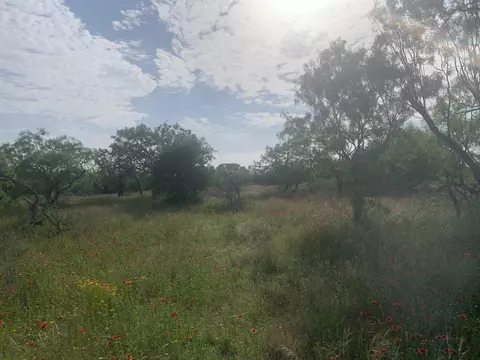 312 Schneider Loop, Llano, TX 78643 photo 7