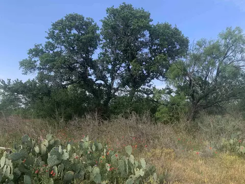 312 Schneider Loop, Llano, TX 78643 photo 4