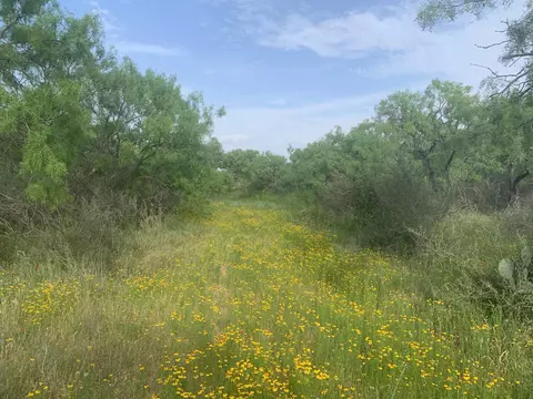 312 Schneider Loop, Llano, TX 78643 photo 5