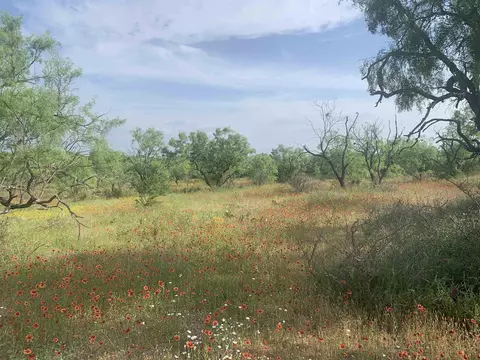 312 Schneider Loop, Llano, TX 78643 photo 8