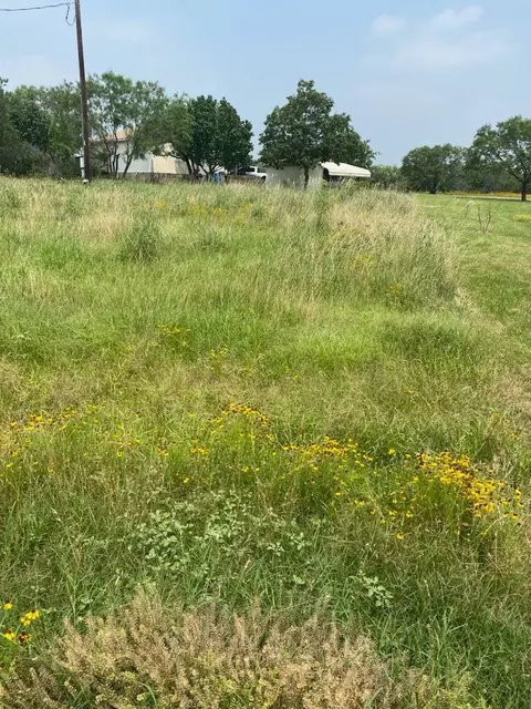 00 Odessa Ln, Tow, TX 78672