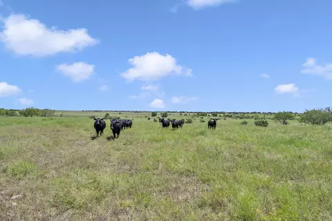 Other - 10600 Cr 210, Bertram, TX 78605 photo 5 of 17