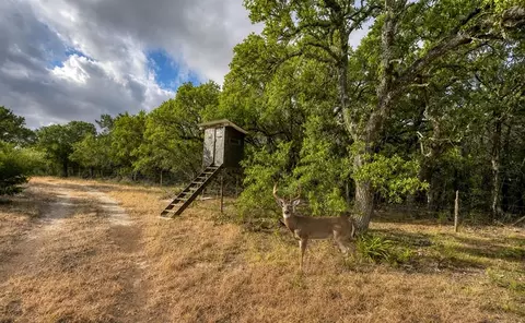 149 Cr 103, Lampasas, TX 76550