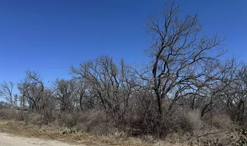 lot219 Western Dr, Kingsland, TX 78639