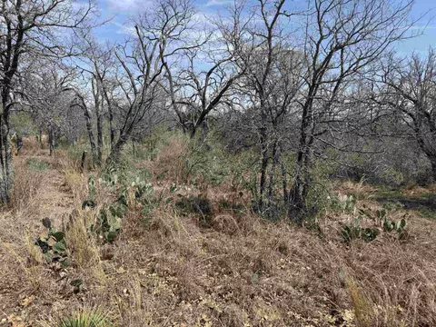 lot300 304 Linkpinemont Dr, Kingsland, TX 78639