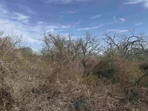 lot295 Pinemont Dr, Kingsland, TX 78639