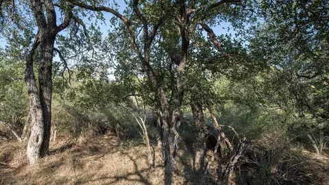 lot219 Timber Valley Ln, Granite Shoals, TX 78654