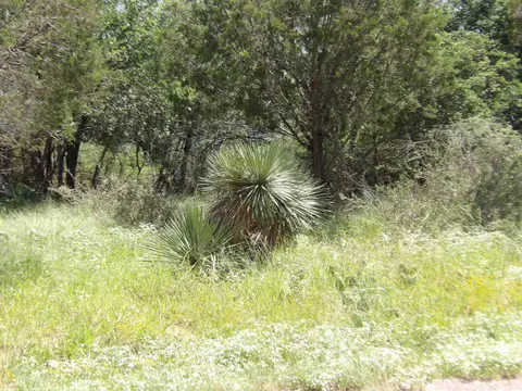 lot S 352 353 Rosehill, Granite Shoals, TX 78654