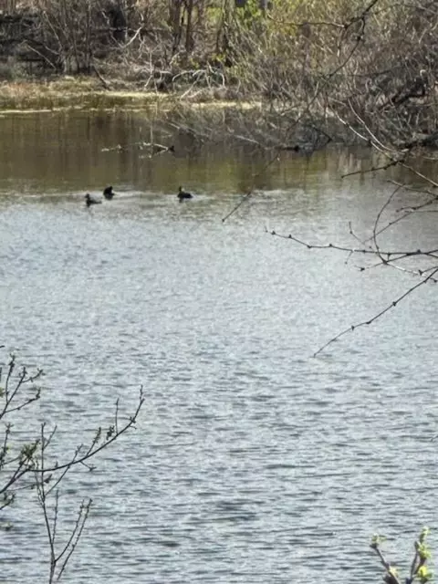 lot K8023 Dew Drop, Horseshoe Bay, TX 78657