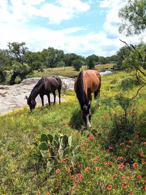 4900 W Highway 71, Llano, TX 78643