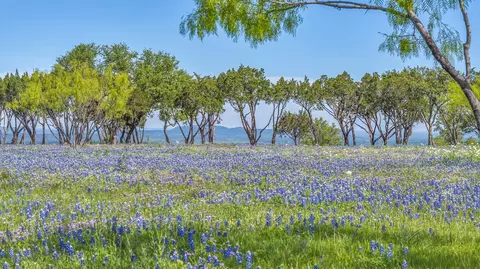 3531 Rr 3347 Rd, Round Mountain, TX 78663