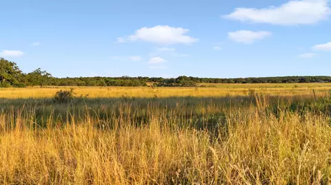 7737 Cr 216a, Llano, TX 78643 photo 5
