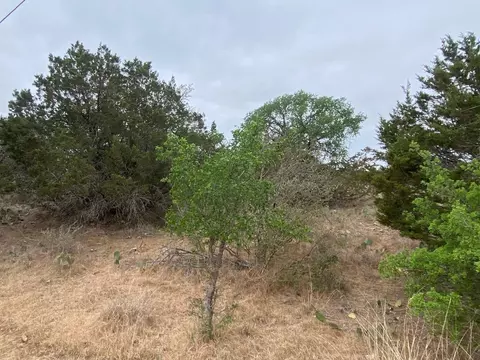 lot22 Cr 140, Burnet, TX 78611