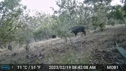Other - 180 Robison Rd, Bertram, TX 78605 photo 2 of 4