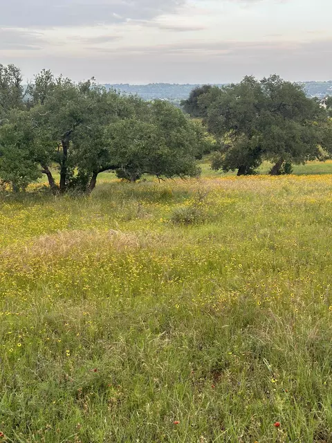 100 Ridge, Horseshoe Bay, TX 78657
