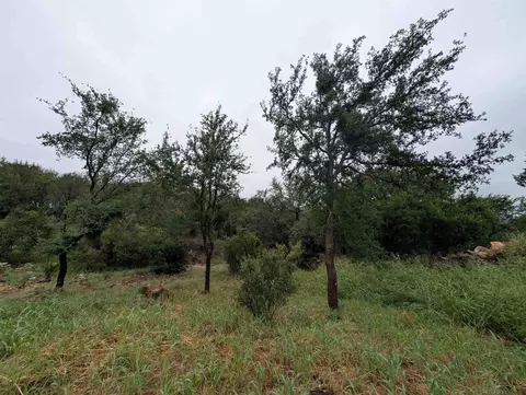 1106 Monterrey Oak Cir, Marble Falls, TX 78654