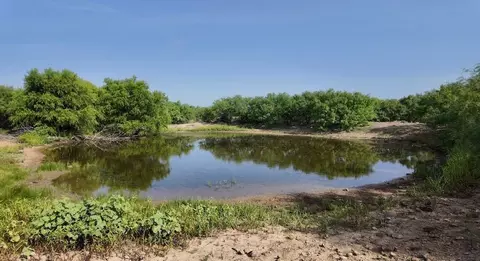 122 Pr 2562, Santa Anna, TX 76878