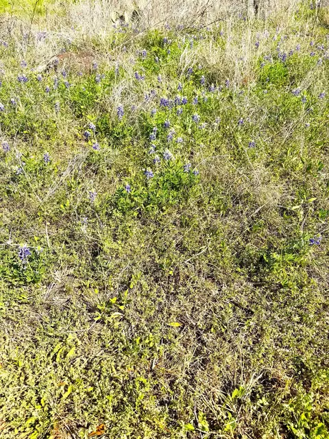 00 E Navarro St, Llano, TX 78643 photo 4