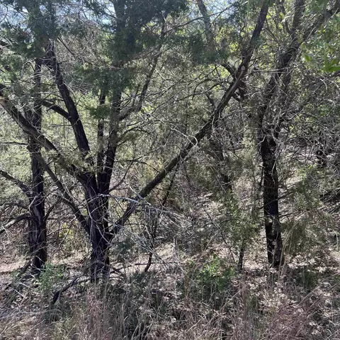 28524 Paradise Manor Dr, Marble Falls, TX 78654