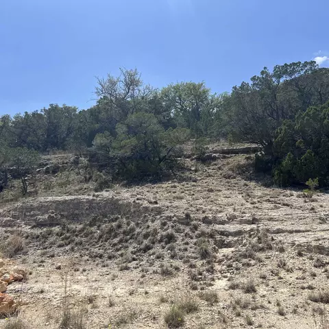 28530 Paradise Manor Dr, Marble Falls, TX 78654