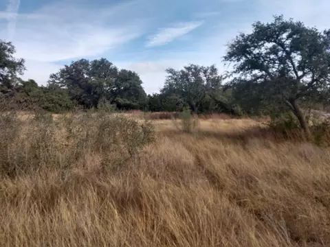 Saddle Ridge Dr. Drive, Bertram, TX 78605 photo 12